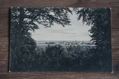 Nowość Zeddam Panorama