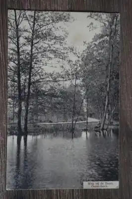 Oosterbeek Weg bij de Duno Autentyczny