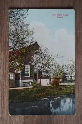 Popularny Ons eigen land Bloeitijd