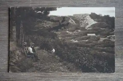 Bergen en Schoorl Naar de Orienteertafel Promocja