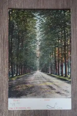 Zeist Koelaan Darmowa dostawa