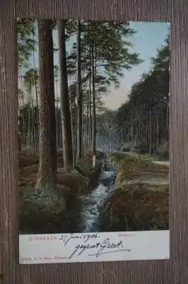 Oferta limitowana Ginneken Mastbosch