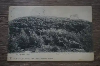 Bloemendaal Gezicht van af het kopje Premium