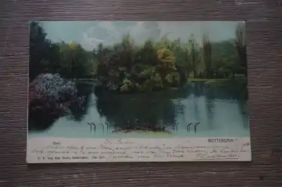 Popularny Rotterdam Park