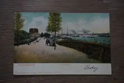 Rotterdam Parkheuvel Kup teraz