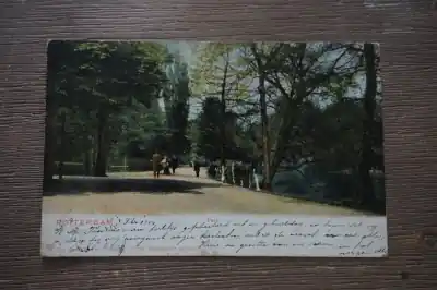 Rotterdam Park Tylko dziś