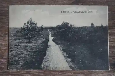 Zamów teraz Heerde Fietspad naar de Delle