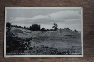 Oferta Dwingeloo In de bosschen