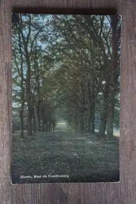 Oferta limitowana Dieren Naar de Carolineberg