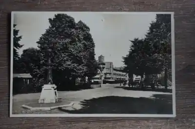 Tani Bussum Nassaulaan