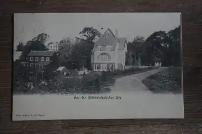 aan den bloemendaalschen weg Oryginalny