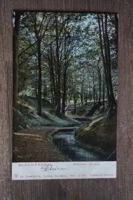 Bloemendaal Boschvliet de Beek Najlepsza cena