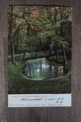 Bloemendaal Vijver in het Bloemendaalsche bosch Premium