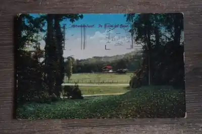 Najlepsza cena Bloemendaal In Duin en Daal