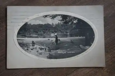 Groningen Noorderplantsoen Eendjes voeren Szybka dostawa