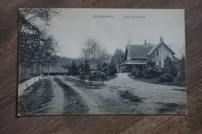 Wysoka jakość Ginneken Boschwachter