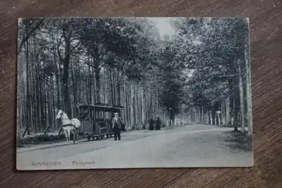 Ginneken Poneytram Popularny