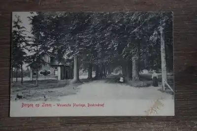 Bergen op Zoom Wouwsche plantage Beukendreef Oferta limitowana