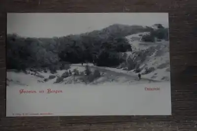 Bergen Duinzicht Tani