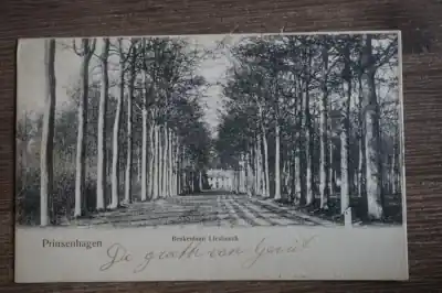 Wyprzedaż Princenhage Beukenlaan Liesbosch