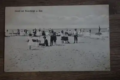 Tani Noordwijk Groeten uit