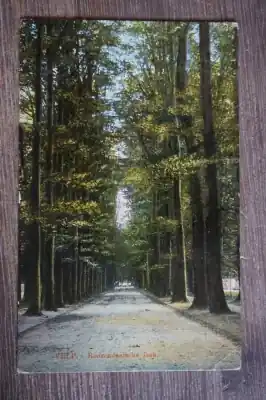 Oferta Velp Roozendaalsche laan