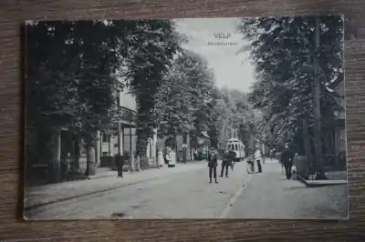 Tylko dziś Velp Hoofdstraat