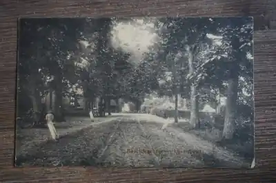 Popularny Ulvenhout Boschwachter