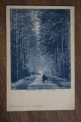 Tani De Steeg Middachter allee