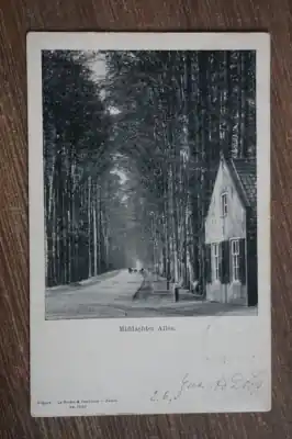 De Steeg Middachter allee Tylko dziś