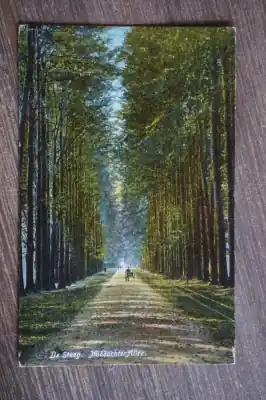 De Steeg Middachter allee Najlepsza cena