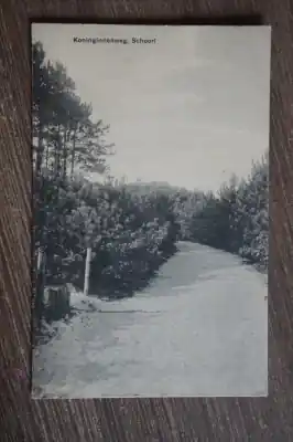 Premium Schoorl Koninginnenweg