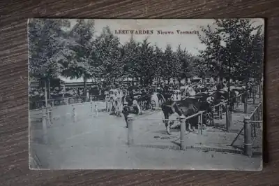 Leeuwarden Nieuwe Veemarkt Popularny