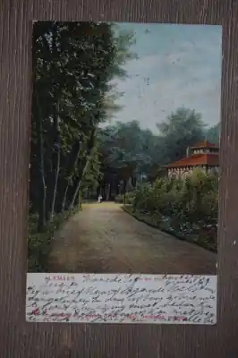 Tylko dziś Alkmaar In den hout