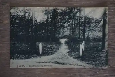 Doorn Boschkiekje bij Zonheuvel Zamów teraz