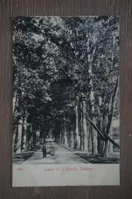 Delden Laan in 't bosch Ostatnia szansa